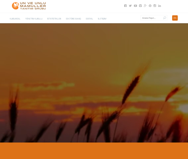 Turkish Flour, Yeast and Ingredients Promotion Group: Profile bread yeast