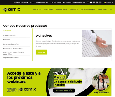 Cemixsa De Cv allied products coatings