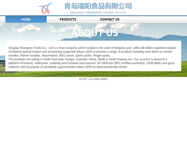 Qingdao Risingsun Foods 70g 4500g