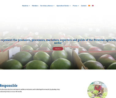 Peru fresh mangoes
