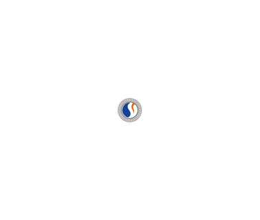 S.V.Turbo One Stop Soluti industries seals