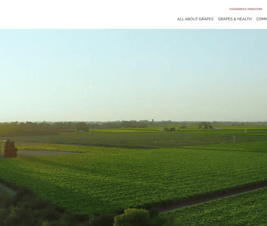 California Table Grape Commission vines grapes