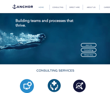 The Wilshire Group | Anchor Healthcare Consultants abuse