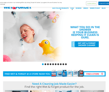 Wet & Forget wet removal
