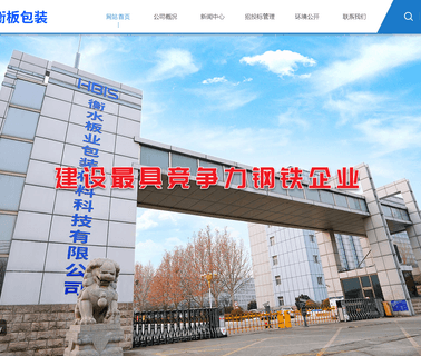 Handan Steel Group Hengshui Cold Rolling Steel cold rolled color coated sheet