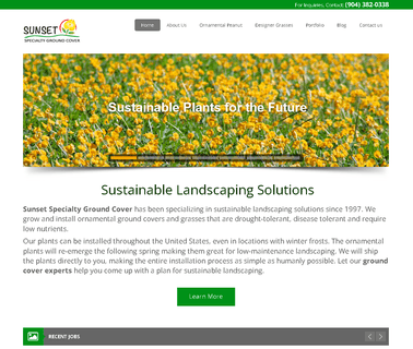 Sunset Specialty Groundcover grass plants