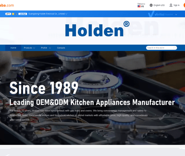 Foshan Holden Electrical wall heater gas