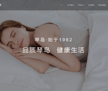 Qingdao Qindao Electric Appliance standard king