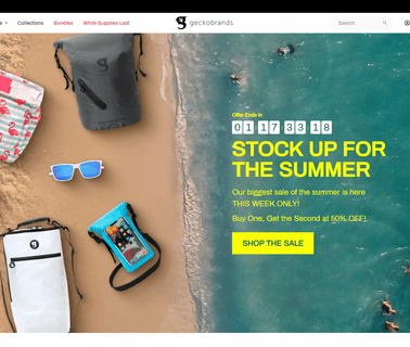 Home - Geckobrands dry day