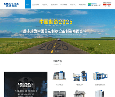 Shenzhen Sindeice Systems seawater flake