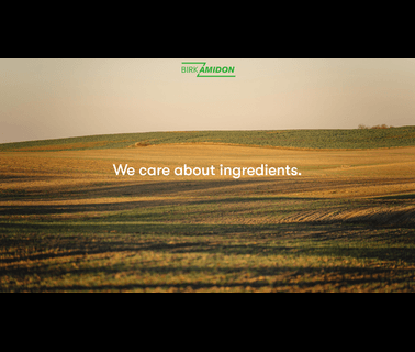 Birkamidon Rohstoffhandels Gmbh derivatives